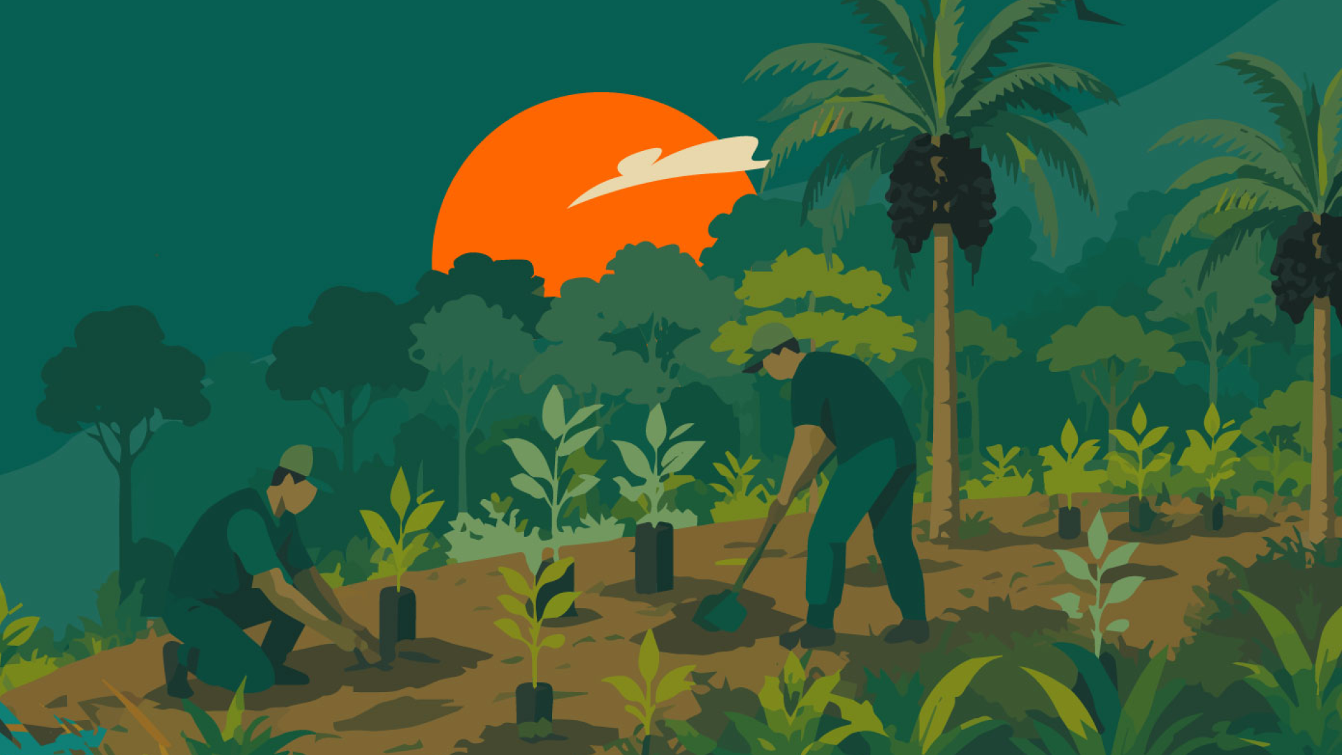 Imagem de capa da publicação Estruturação do mercado de Soluções Baseadas na Natureza (SbN) no Brasil